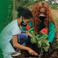 fondoimagen-3-1024x867 (1)